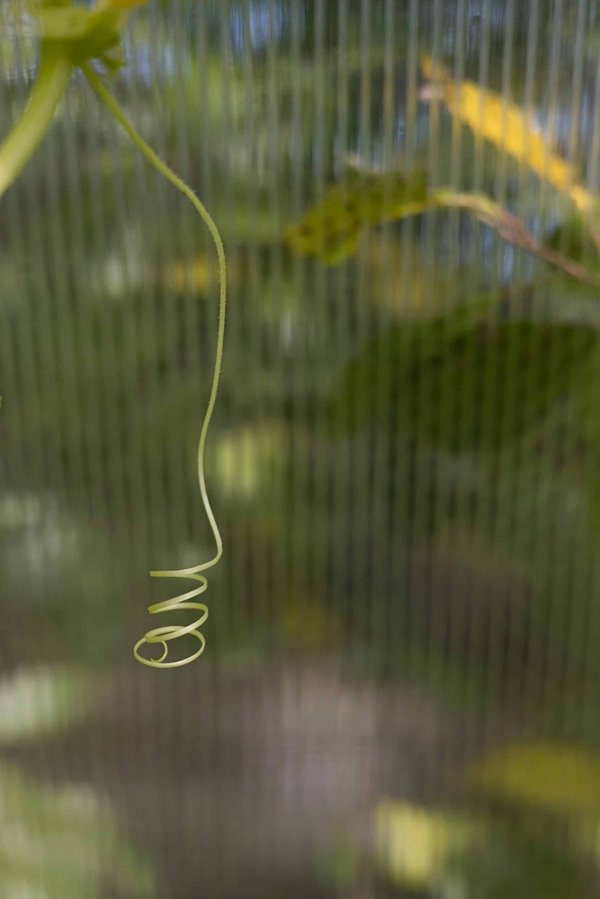 Quels ajustements juridiques sont nécessaires pour une entreprise en vue de l'adoption de l'Intelligence Artificielle dans ses processus de recrutement?